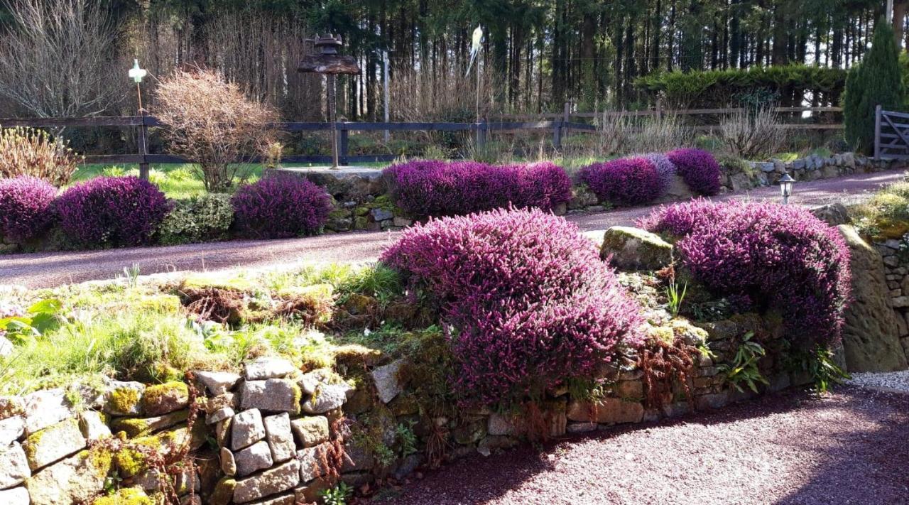 Le Petit Bois Normand - Chambre D'Hote Bed & Breakfast Champ-du-Boult Luaran gambar