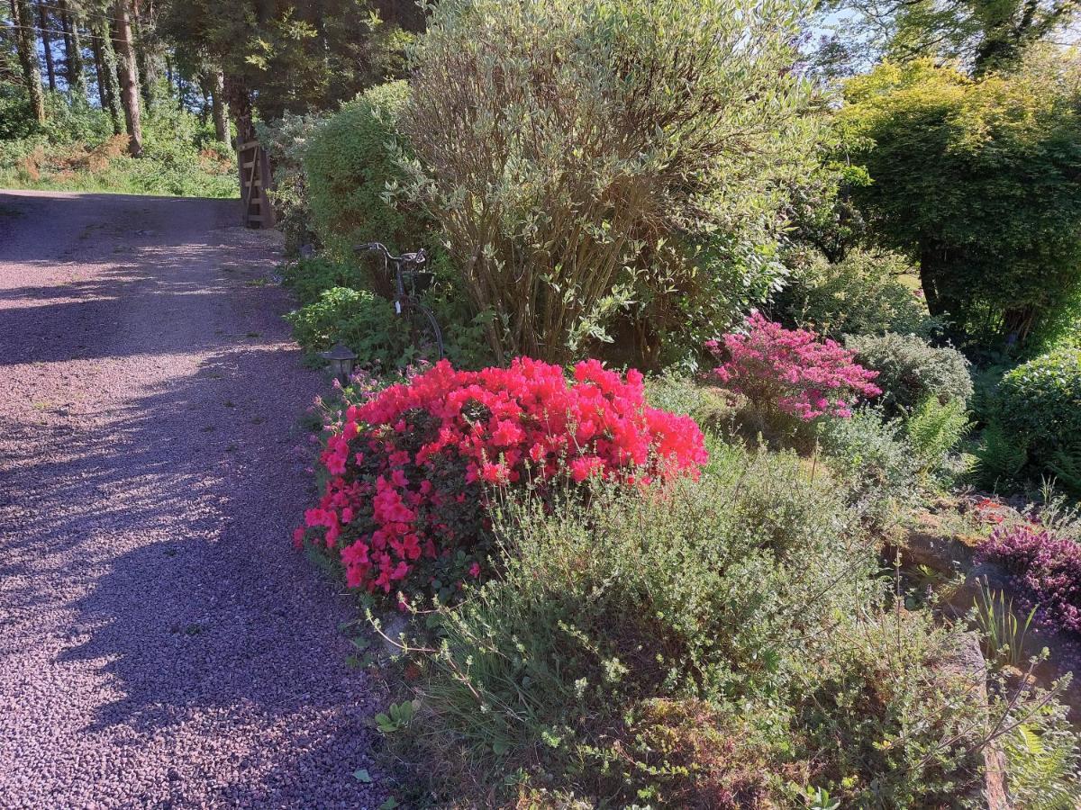 Le Petit Bois Normand - Chambre D'Hote Bed & Breakfast Champ-du-Boult Luaran gambar
